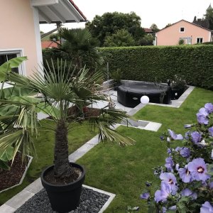 Vorher   Nachher